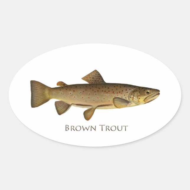 Brown Trout Logo Ovaler Aufkleber (Vorderseite)