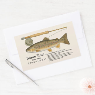 Brown Trout (Salmo trutta) – English Illust Rechteckiger Aufkleber