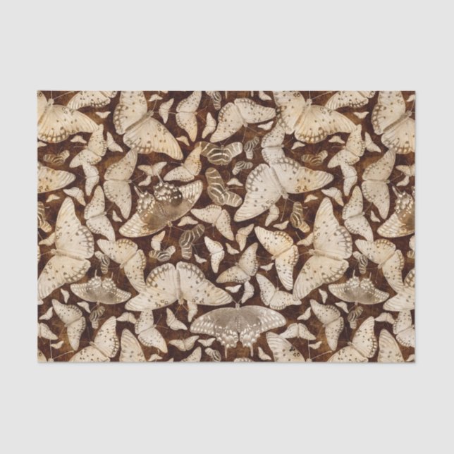 Brown und beige Schmetterlinge Seidenpapier (Vorderseite)