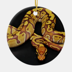 Brown- und Goldball-Pythonschlange Keramik Ornament
