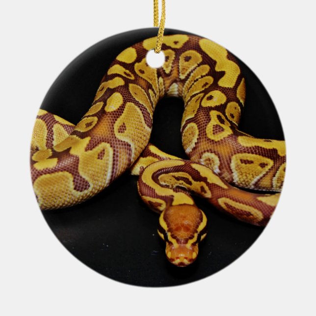Brown- und Goldball-Pythonschlange Keramik Ornament (Vorne)