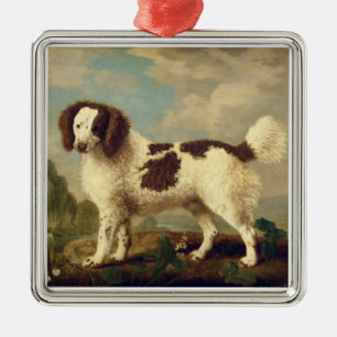 Brown und weißer Norfolk oder WasserSpaniel, 1778 Silbernes Ornament