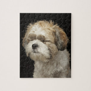 Brown und weißer Shih Tzu mit Augen schlossen Puzzle
