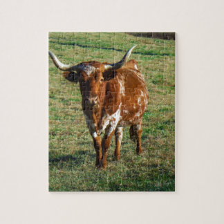 Brown und weißes Longhorn Stier Puzzle