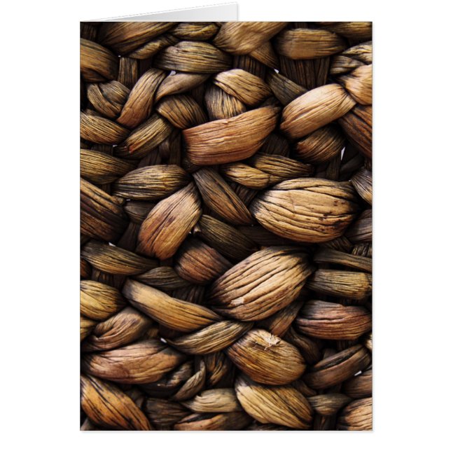 Brown Walnut Muscheln (Vorne)