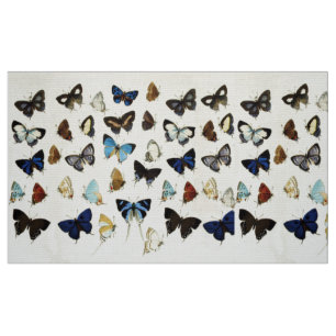 BROWN WHITE BLUE BUTTERFLIES Schönheit Natur Lover Stoff