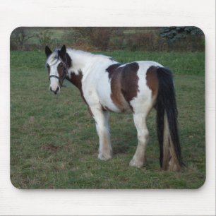 Brown White Horse Mousepad