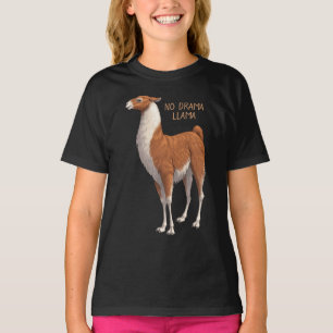 Brown & White No Drama Llama T-Shirt