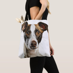 BROWN & WHITE SCHÖNE GREYHOUND HUND