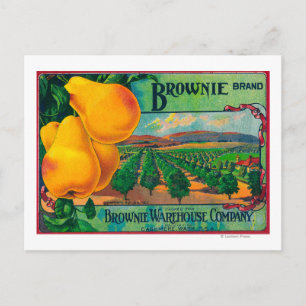 Brownie Pear Crate LabelCashmere, WA Postkarte
