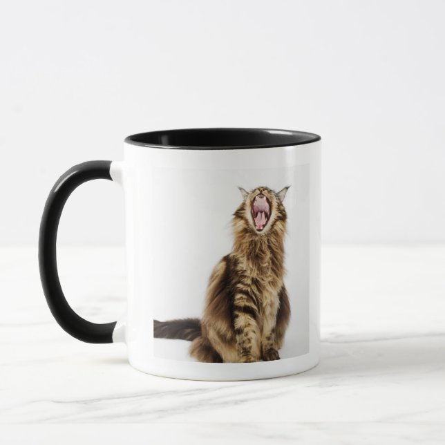 Brownklassischer HauptwaschbärTabby Tasse (Links)