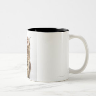 Brownklassischer HauptwaschbärTabby Zweifarbige Tasse