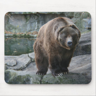 Brownkodiak-Bär Mousepad