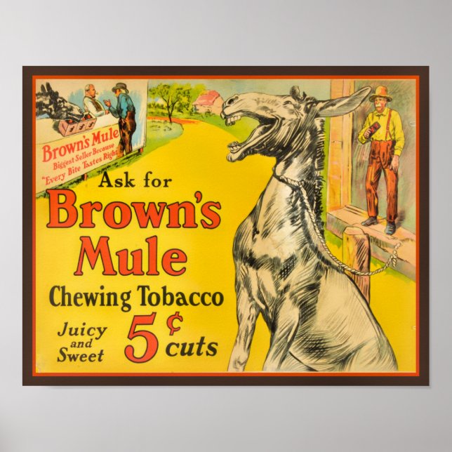Brown's Mule Chewing Tobacco Poster aus den 1930er (Vorne)