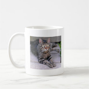 Browntabby-Katze draußen Kaffeetasse