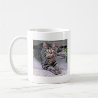 Browntabby-Katze draußen Kaffeetasse