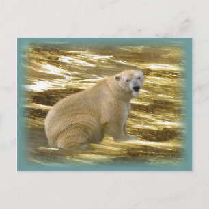 Brrr.....Postkarte Postkarte