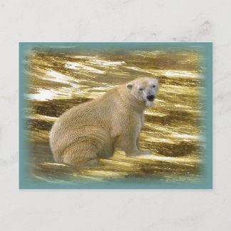 Brrr.....Postkarte Postkarte