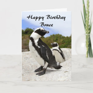 Bruce Happy Birthday African Penguins Spaß Card Karte