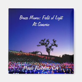 Bruce Munro, Field of Light, Paso Robles, CA. Magnet