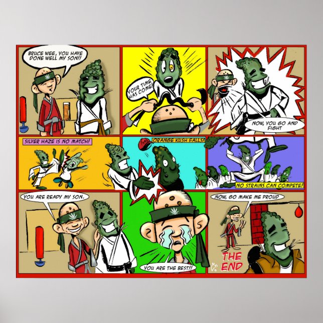 Bruce Wee Poster (Vorne)