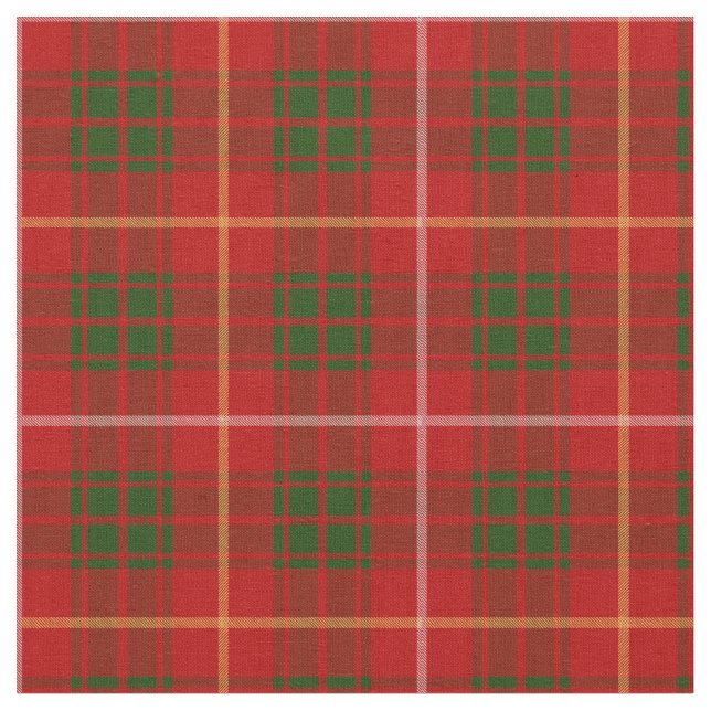 Brucetartan-Druck Stoff (Nahaufnahme)