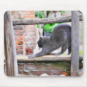 Bruchkatze Mousepad