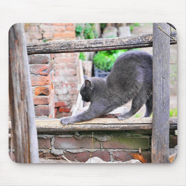Bruchkatze Mousepad (Vorne)