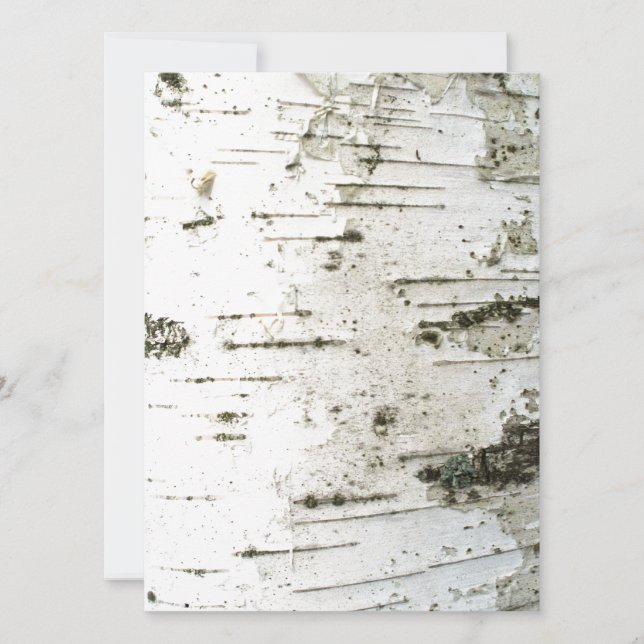 Bruchstamm (Vorderseite)