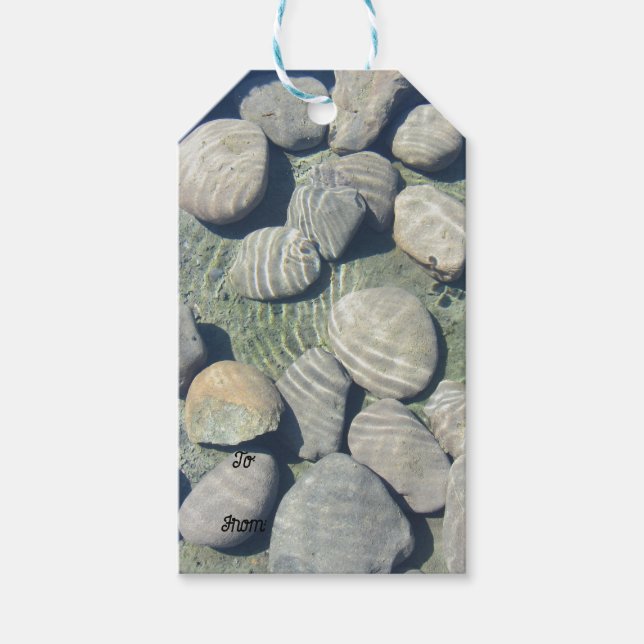 Bruchstücke auf den Wassergiftmarken Geschenkanhänger (Vorderseite)