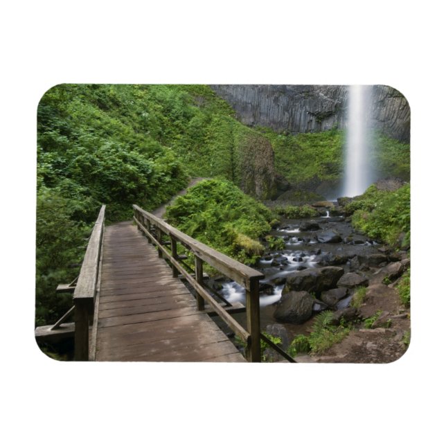 Brücke bei Latourell Falls, Columbia River Gorge, Magnet (Horizontal)