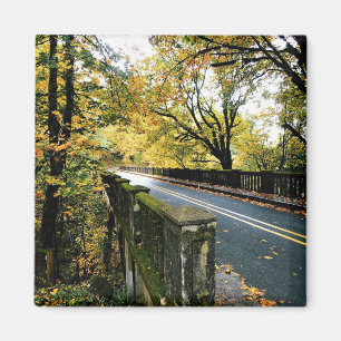 Brücke bei Latourell Falls, Oregon Magnet