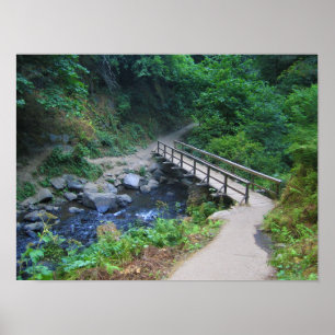 Brücke bei Latourell Falls, Oregon Poster