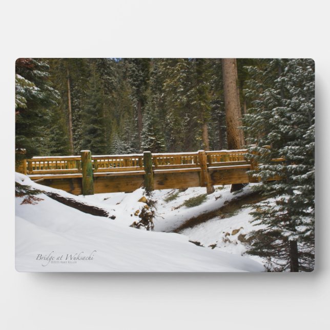 Brücke bei Wuksachi Fotoplatte (Vorderseite)