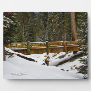 Brücke bei Wuksachi Fotoplatte