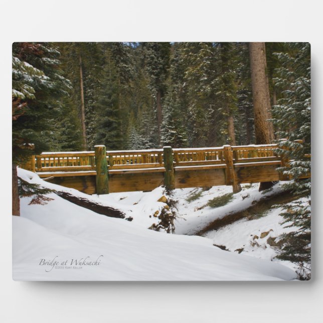 Brücke bei Wuksachi Fotoplatte (Vorderseite)