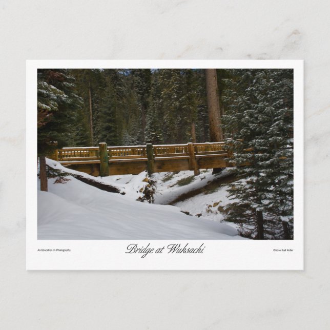 Brücke bei Wuksachi Postcard Postkarte (Vorderseite)