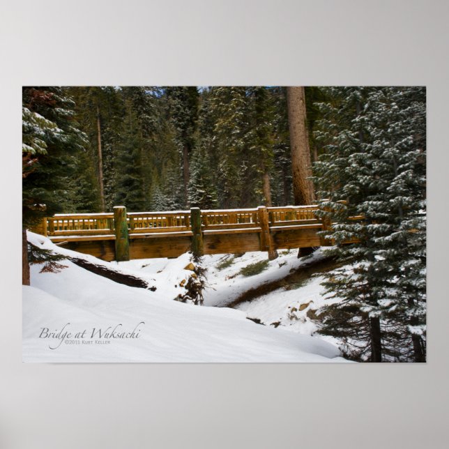 Brücke bei Wuksachi Poster (Vorne)