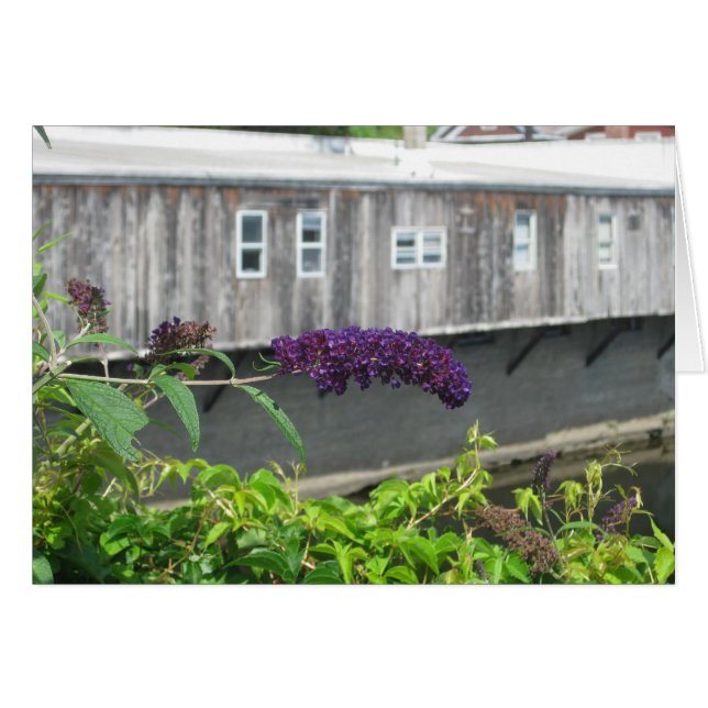 Brücke der Blume (Vorderseite (Horizontal))