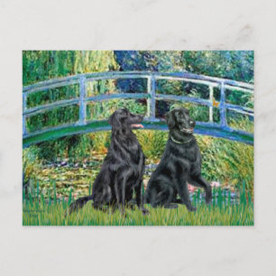 Brücke - Flat Coated Retriever (zwei) Postkarte