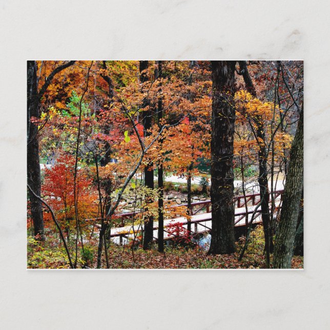 Brücke im Herbst mit herbstlichen Baumblättern / L Postkarte (Vorderseite)