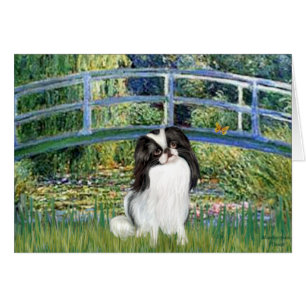 Brücke - Japanische Chin 2