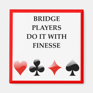 BRÜCKE MAGNET
