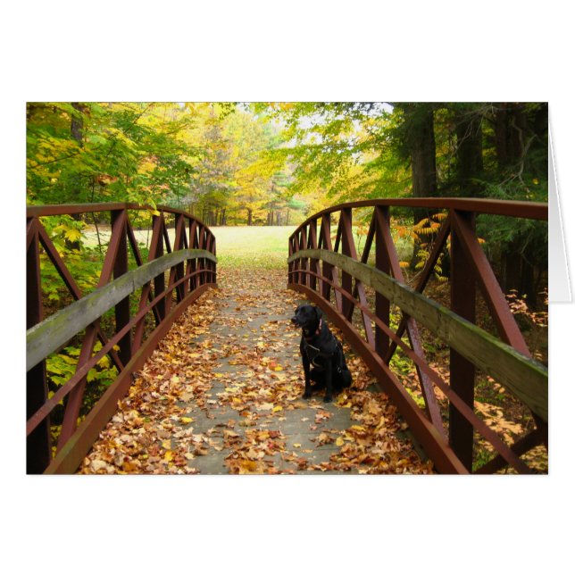 Brücke mit Cole (Vorderseite (Horizontal))