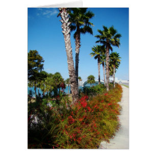 Brücke Sarasota Ringling