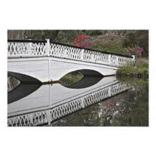 Brücke spiegelt sich im Teich, Magnolie Fotodruck
