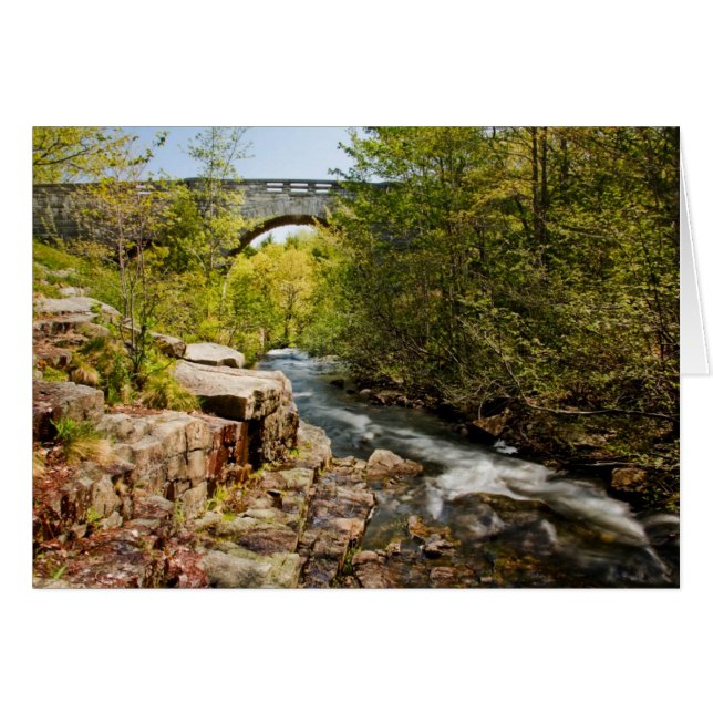 Brücke über Fluss (Vorderseite (Horizontal))