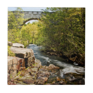 Brücke über Fluss Fliese