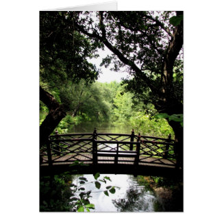 Brücke über friedlichem Wasser