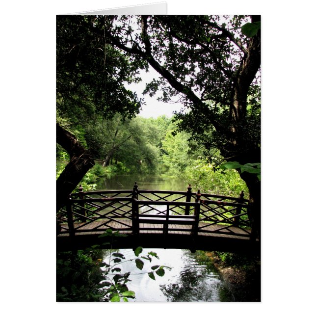 Brücke über friedlichem Wasser (Vorne)